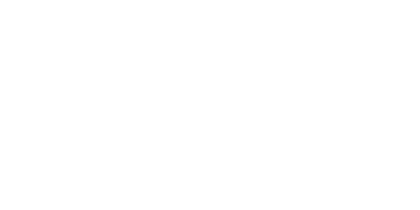 logo pedrollo blanco
