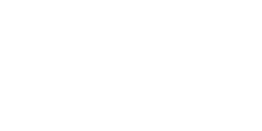 logo truper